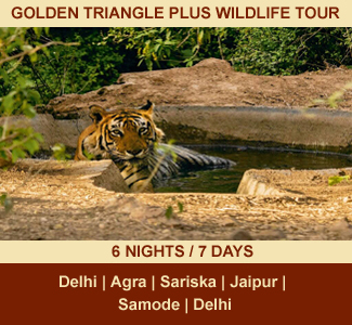 GOLDEN TRIANGLE PLUS WILDLIFE TOUR | 06-NIGHTS / 07-DAYS | Rajasthan Package Tour | DELHI - AGRA - SARISKA - JAIPUR - SAMODE - DELHI